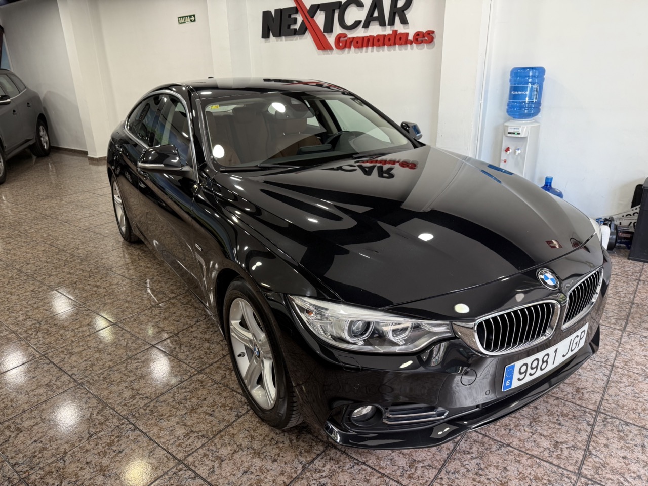 IMG_7318 en tamaño grande